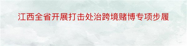 江西全省开展打击处治跨境赌博专项步履