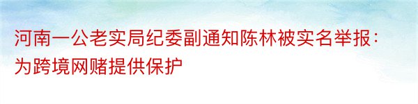 河南一公老实局纪委副通知陈林被实名举报：为跨境网赌提供保护
