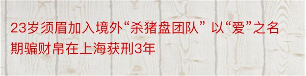 23岁须眉加入境外“杀猪盘团队” 以“爱”之名期骗财帛在上海获刑3年