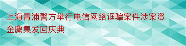 上海青浦警方举行电信网络诓骗案件涉案资金麇集发回庆典