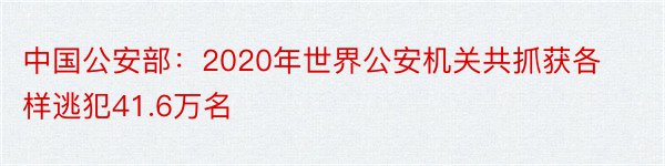 中国公安部：2020年世界公安机关共抓获各样逃犯41.6万名