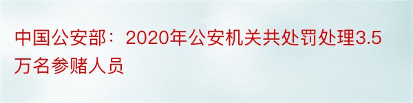 中国公安部：2020年公安机关共处罚处理3.5万名参赌人员