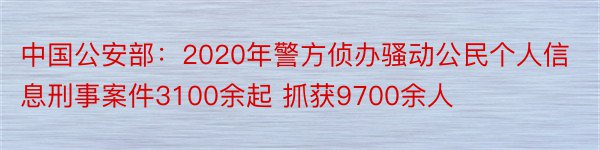 中国公安部：2020年警方侦办骚动公民个人信息刑事案件3100余起 抓获9700余人
