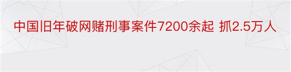 中国旧年破网赌刑事案件7200余起 抓2.5万人