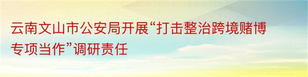 云南文山市公安局开展“打击整治跨境赌博专项当作”调研责任