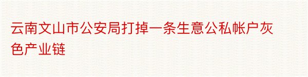 云南文山市公安局打掉一条生意公私帐户灰色产业链