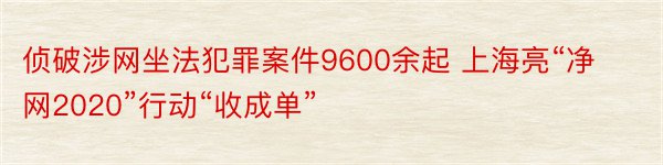 侦破涉网坐法犯罪案件9600余起 上海亮“净网2020”行动“收成单”