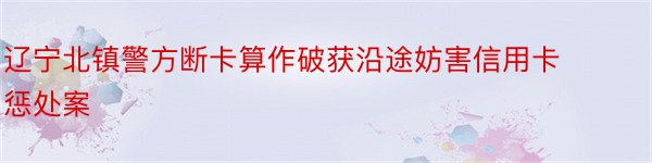 辽宁北镇警方断卡算作破获沿途妨害信用卡惩处案