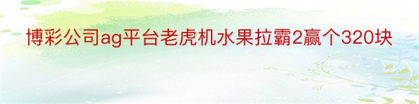 博彩公司ag平台老虎机水果拉霸2赢个320块